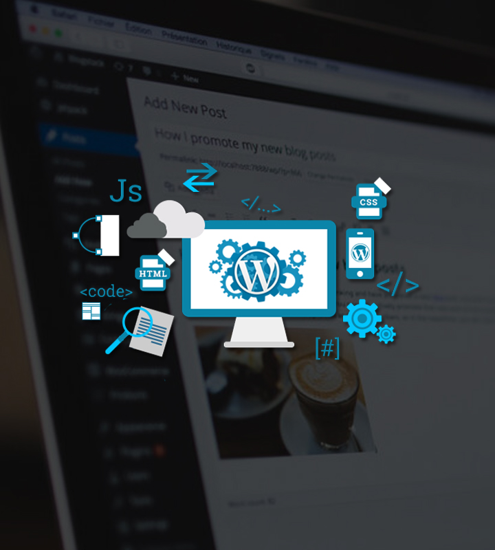 Wordpress Development